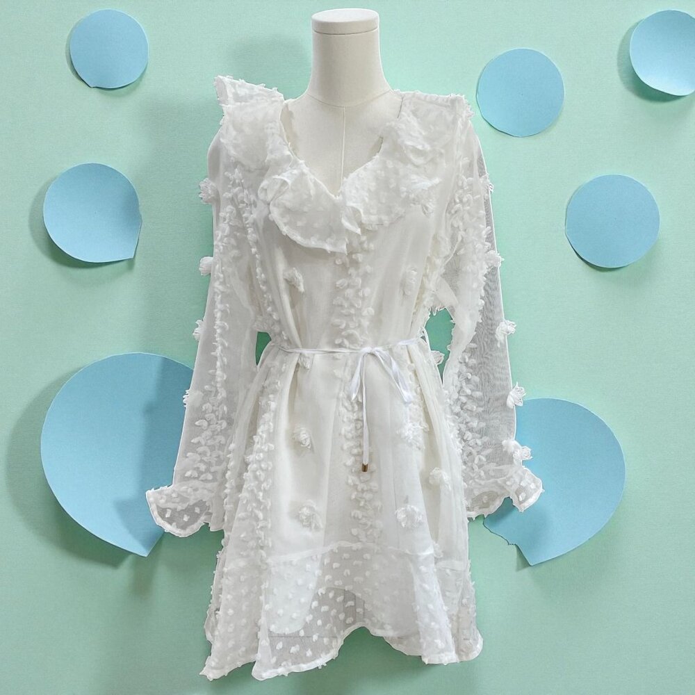 Reveuse White Ruffle Sheer Mini Dress Romantic Coquette Cottagecore NWT Medium‎